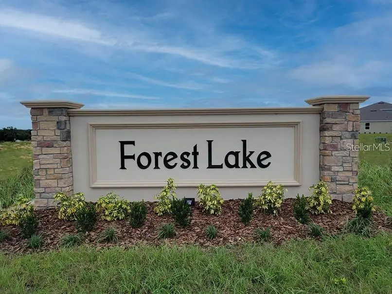 1847 Buckeye Road, Davenport, FL 33837 - #2