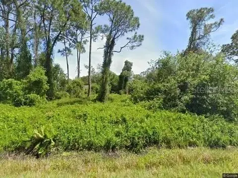 432 Branbury Avenue, Lake Placid, FL 33852 - #1