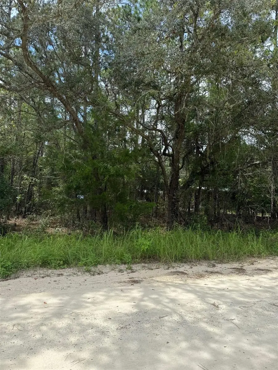 4500 SW 175 Court, Dunnellon, FL 34432 - #2