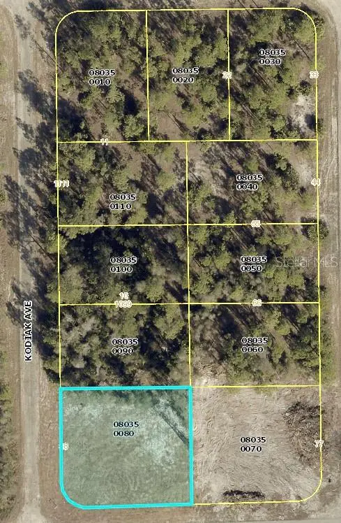 1015 Kodiak Avenue, Lehigh Acres, FL 33974 - #1