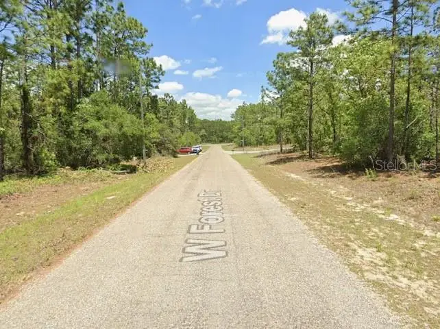 3765 W Forest Drive, Citrus Springs, FL 34433 - #1