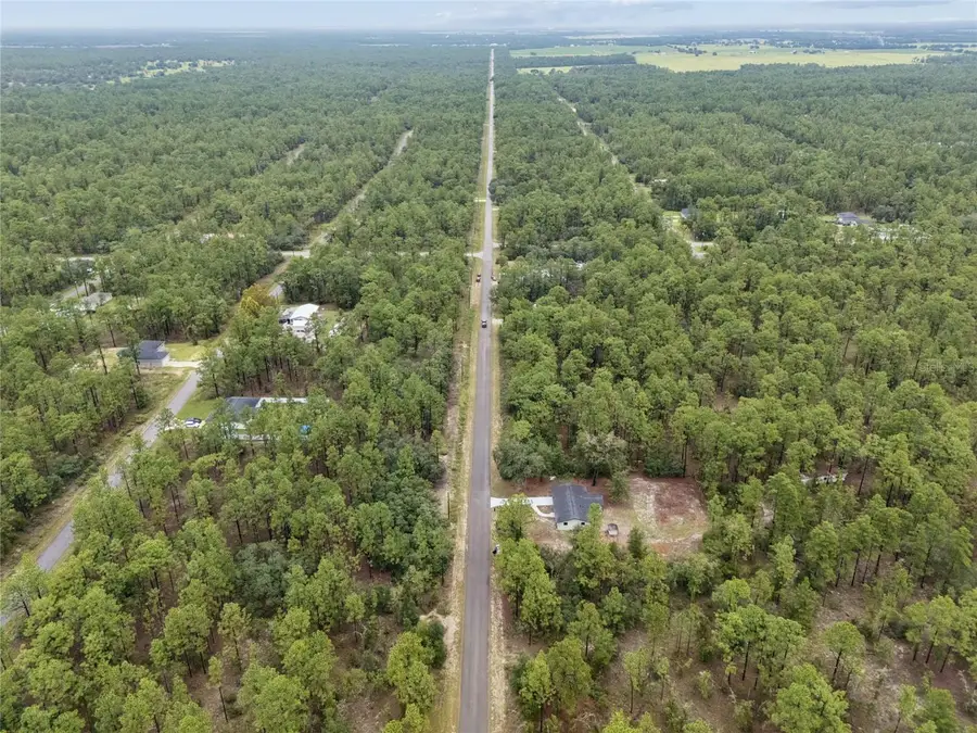 SW Obee Ridge Road, Dunnellon, FL 34431 - #2