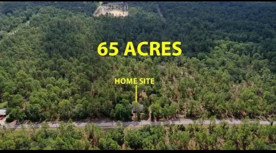 SW Obee Ridge Road, Dunnellon, FL 34431 - #3