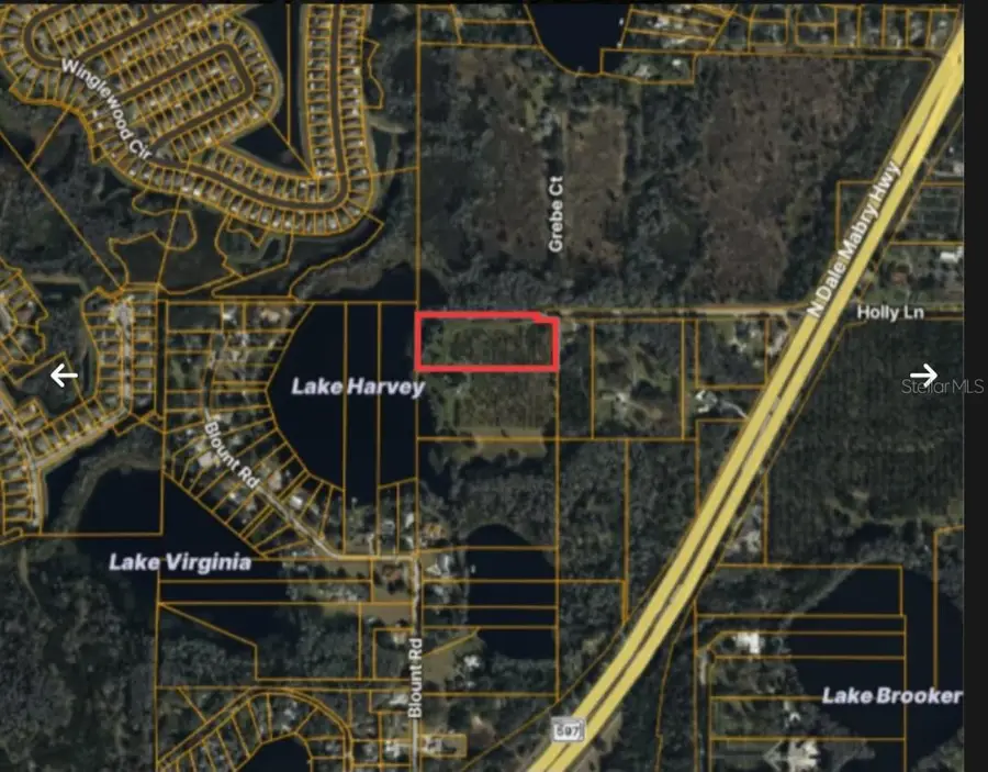Holly Lane, Lutz, FL 33558 - #3