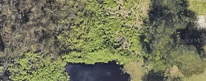 Old Bartow Eagle Lake Road, Bartow, FL 33830 - #2