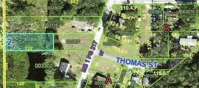 Old Bartow Eagle Lake Road, Bartow, FL 33830 - #3