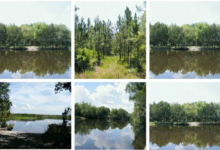 323 Old Bubbly Road, Pierson, FL 32180 - #2