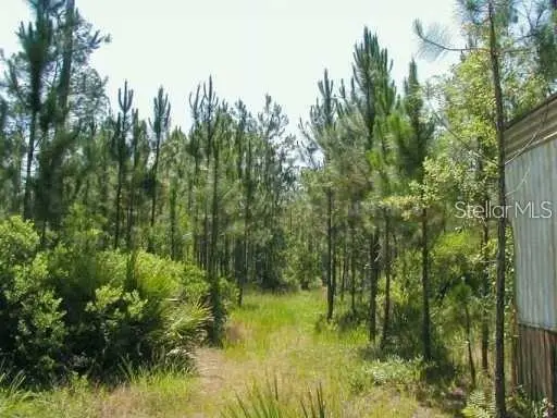 323 Old Bubbly Road, Pierson, FL 32180 - #3