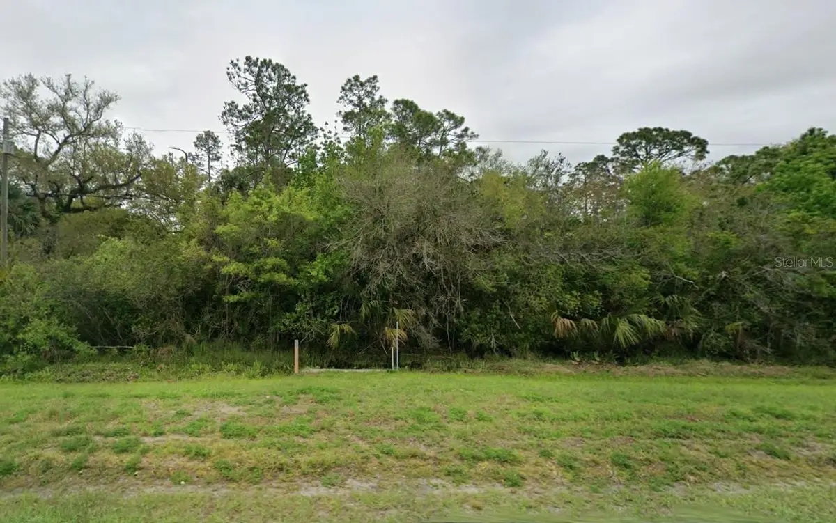 24911 E Colonial Drive, Christmas, FL 32709 - #1