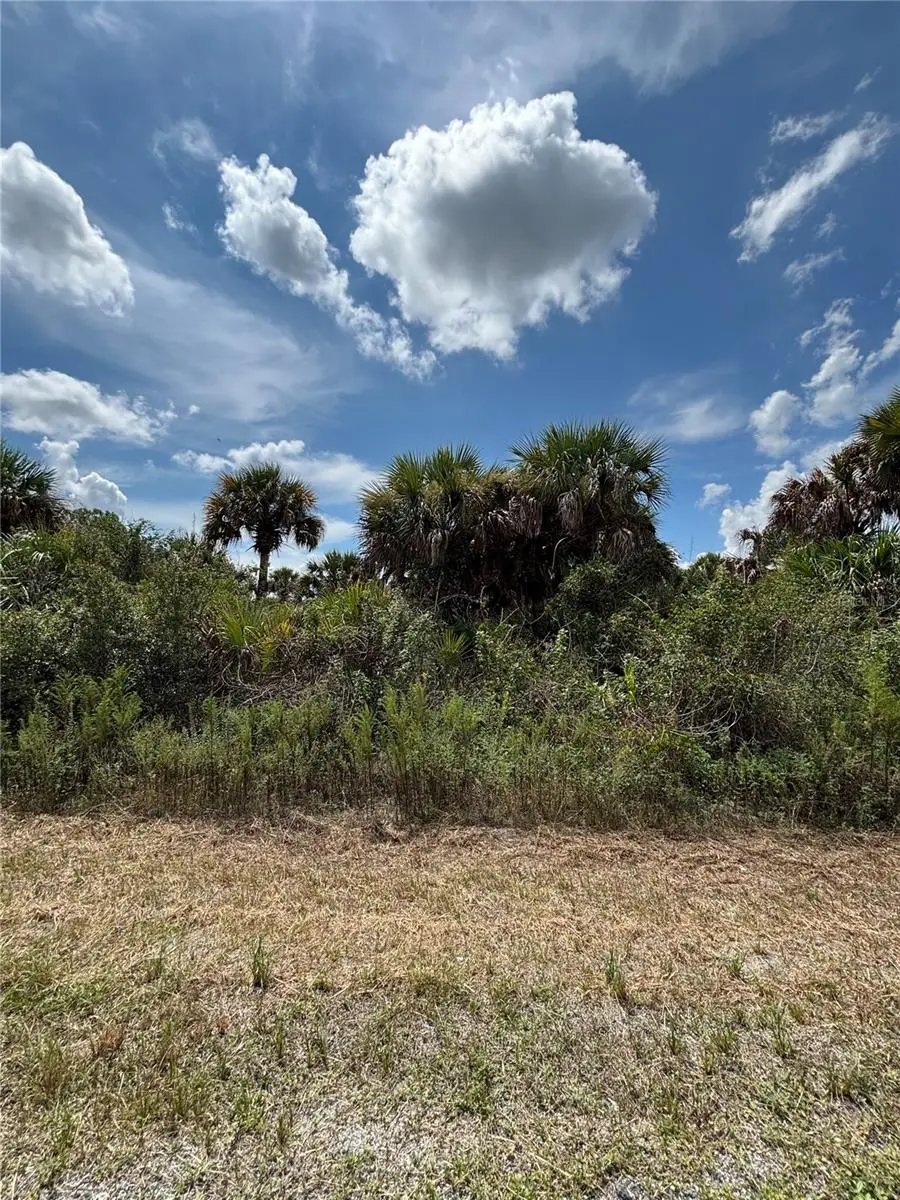 866 Saltwater Street Sw, Palm Bay, FL 32908 - #3
