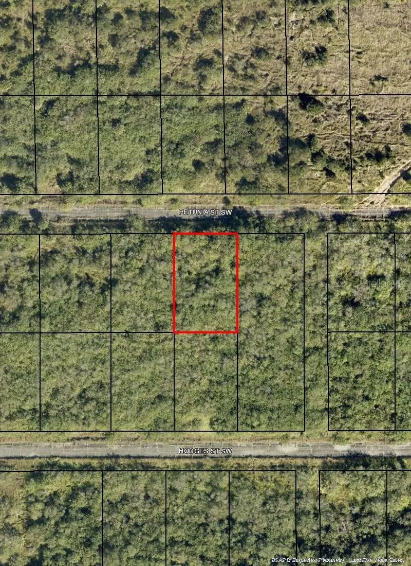 1574 Petunia Street Sw, Palm Bay, FL 32908 - #1