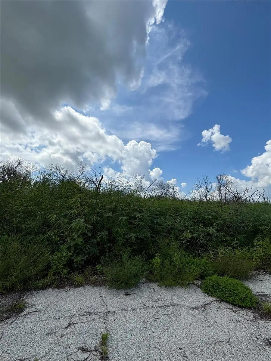 1574 Petunia Street Sw, Palm Bay, FL 32908 - #2