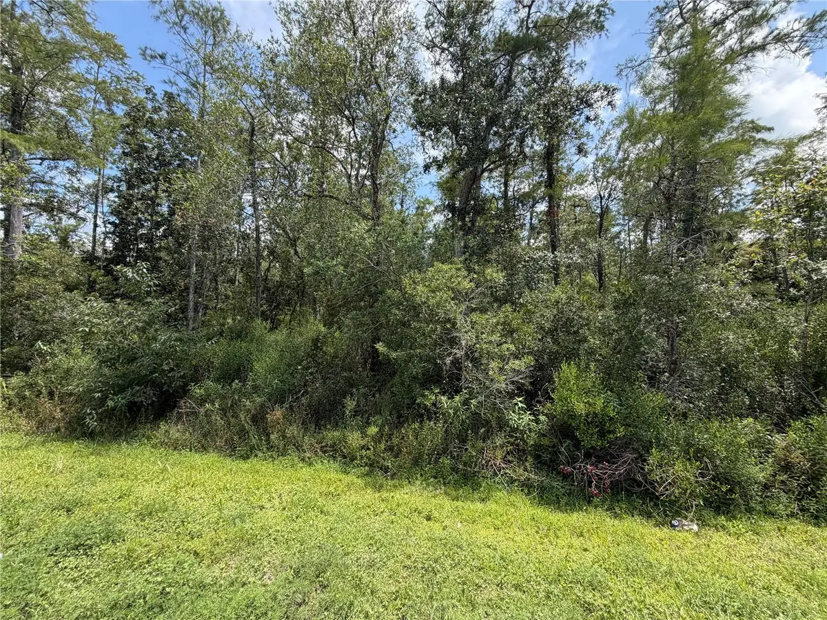 Starry Street, Orlando, FL 32833 - #1