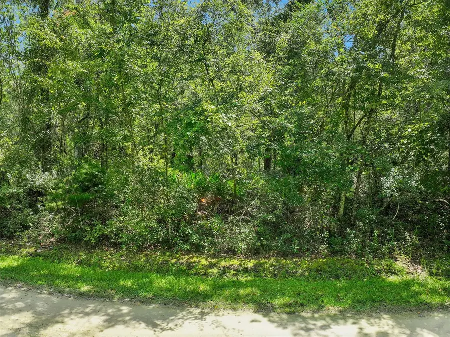 152nd Pl, Wellborn, FL 32094 - #3