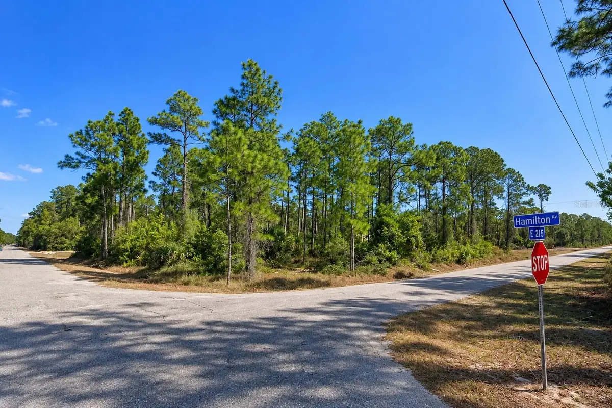 3001 E 21st Street, Alva, FL 33920 - #1