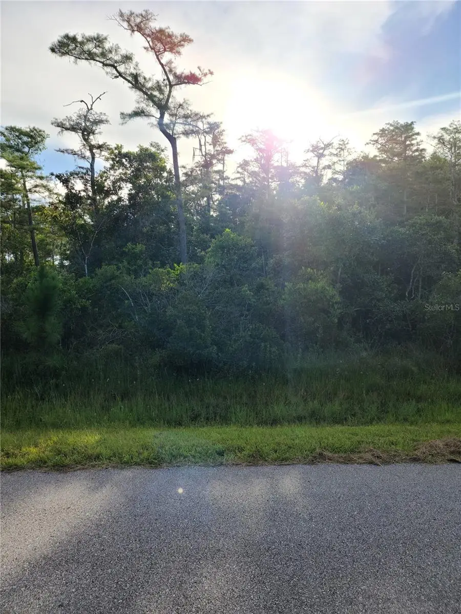 Pierre Avenue #Lot 162, Saint Cloud, FL 34773 - #1