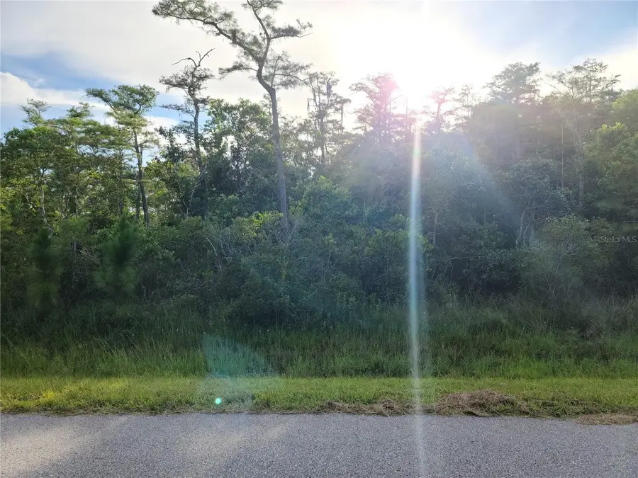 Pierre Avenue #Lot 162, Saint Cloud, FL 34773 - #2