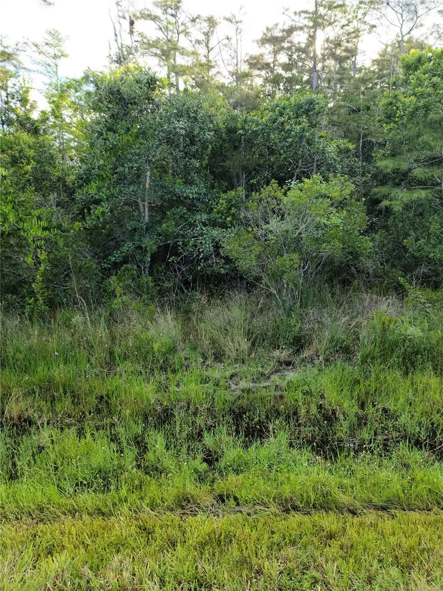 Pierre Avenue #Lot 162, Saint Cloud, FL 34773 - #3