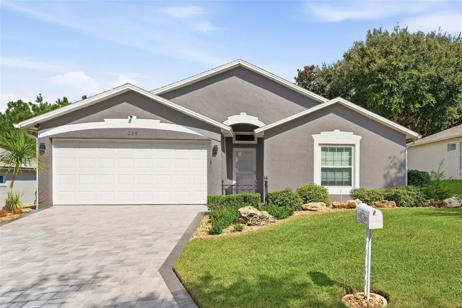 239 China Berry Circle, Davenport, FL 33837 - #3