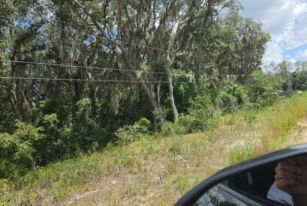 416 N Walker Road, AVON PARK, FL 33825