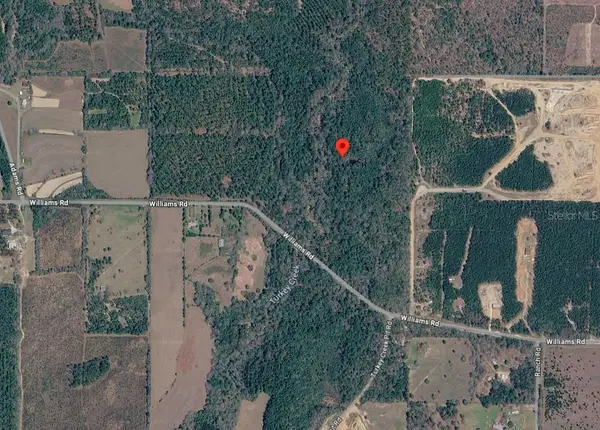 33-4n-20-29000-010-0010, DEFUNIAK SPRINGS, FL 32433