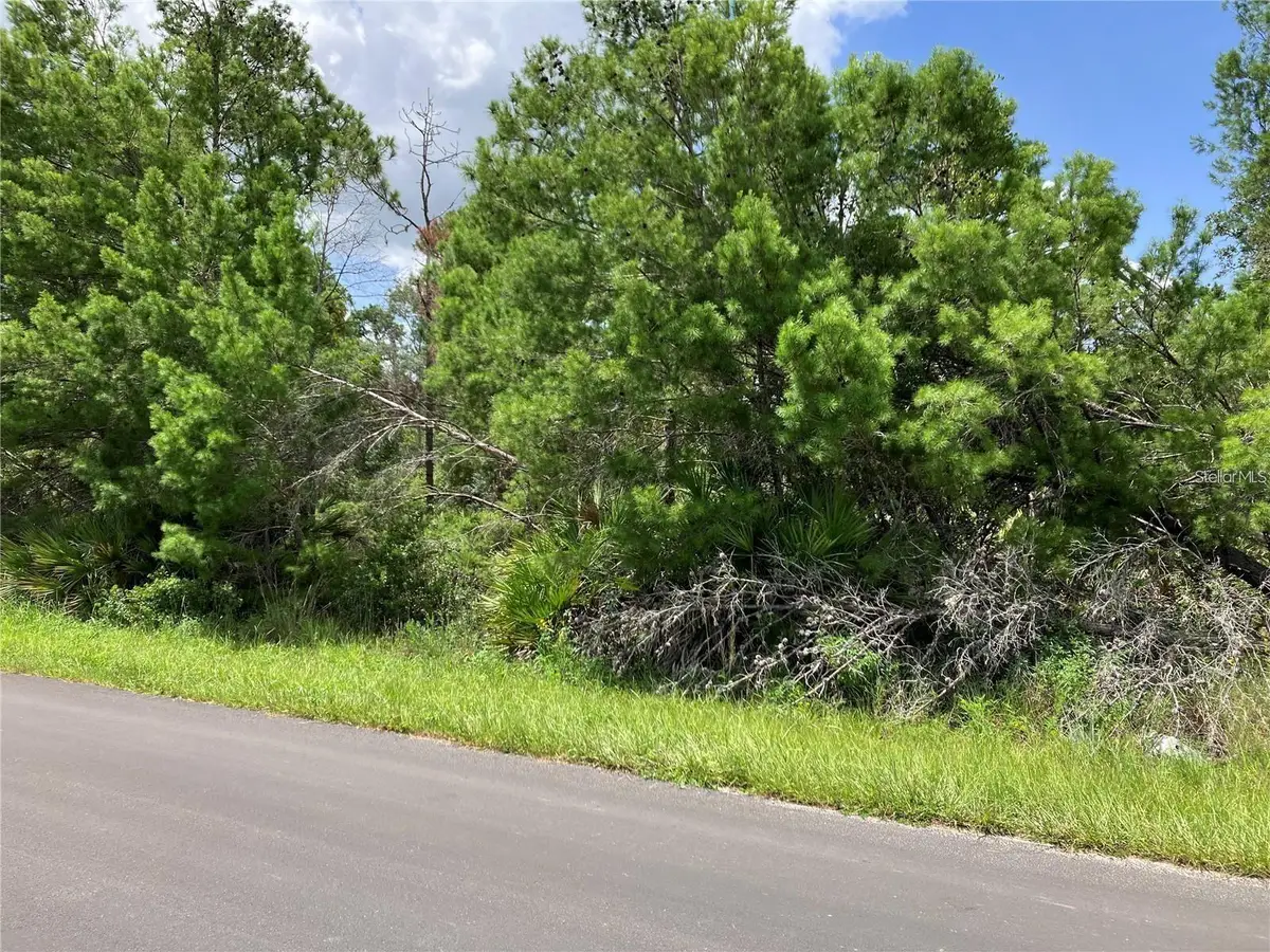Forehand Road, Davenport, FL 33896 - #1