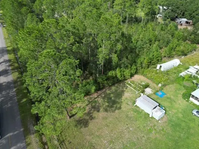 9810 Crotty Avenue, Hastings, FL 32145 - #3