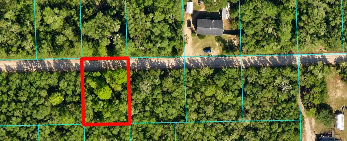 Ne 233 Ln, Fort McCoy, FL 32134 - #1