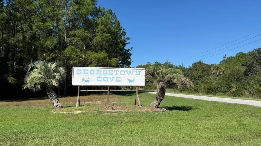 109 S Georgetown Point Road, Georgetown, FL 32139 - #2