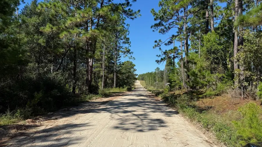 113 Rome Avenue, Interlachen, FL 32148 - #2