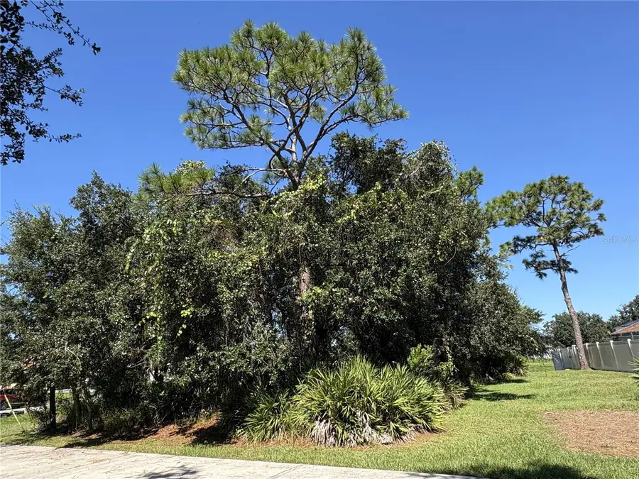 539 Eagle Court #Lot 23, Poinciana, FL 34759 - #3