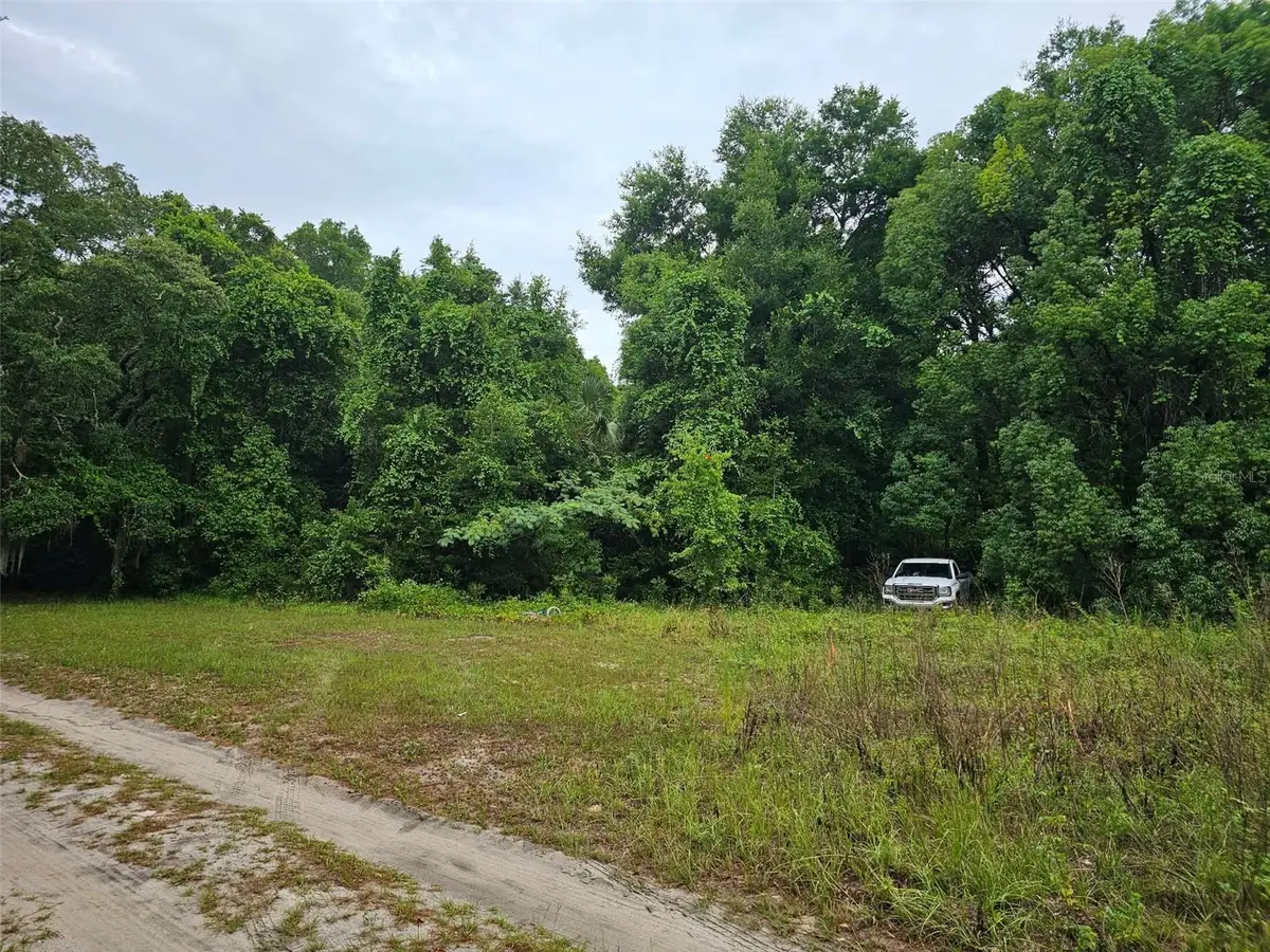 0 Se 140th Lot 19, Terrace Ct, Ocklawaha, FL 32179 - #1
