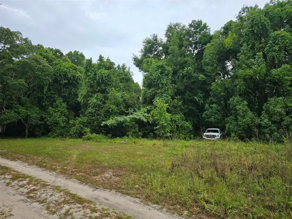 0 Se 140th Lot 19, Terrace Ct, OCKLAWAHA, FL 32179