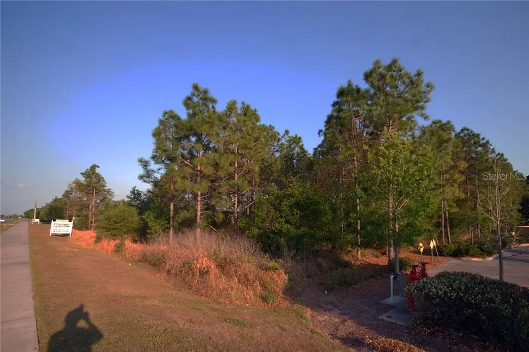 30150 Overpass Road, Wesley Chapel, FL 33545 - Image #1