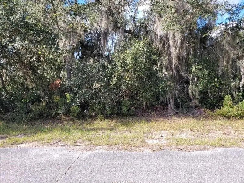 1244 Caribbean Drive, Poinciana, FL 34759 - Image #2