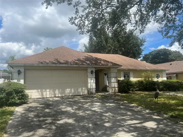 1404 Midoneck Court, VALRICO, FL 33596