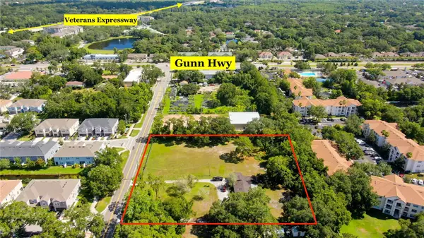 12853 Olive Jones Road, TAMPA, FL 33625