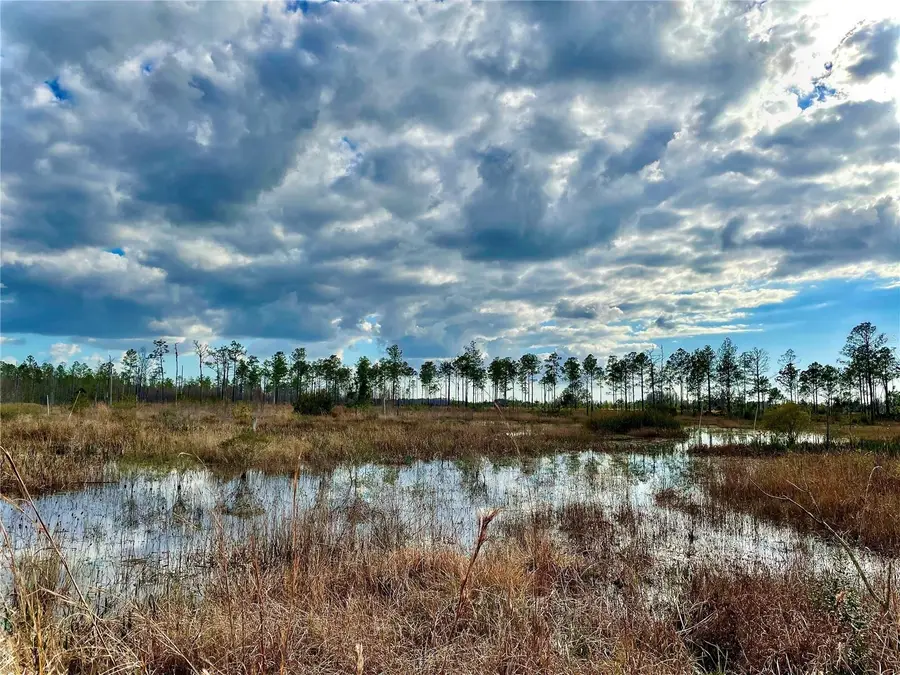 19858 State Road 52, Land O Lakes, FL 34637 - Image #3