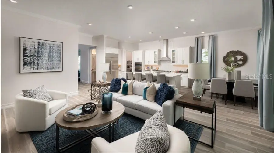 1067 Seagrape Drive, Ruskin, FL 33570 - Image #3