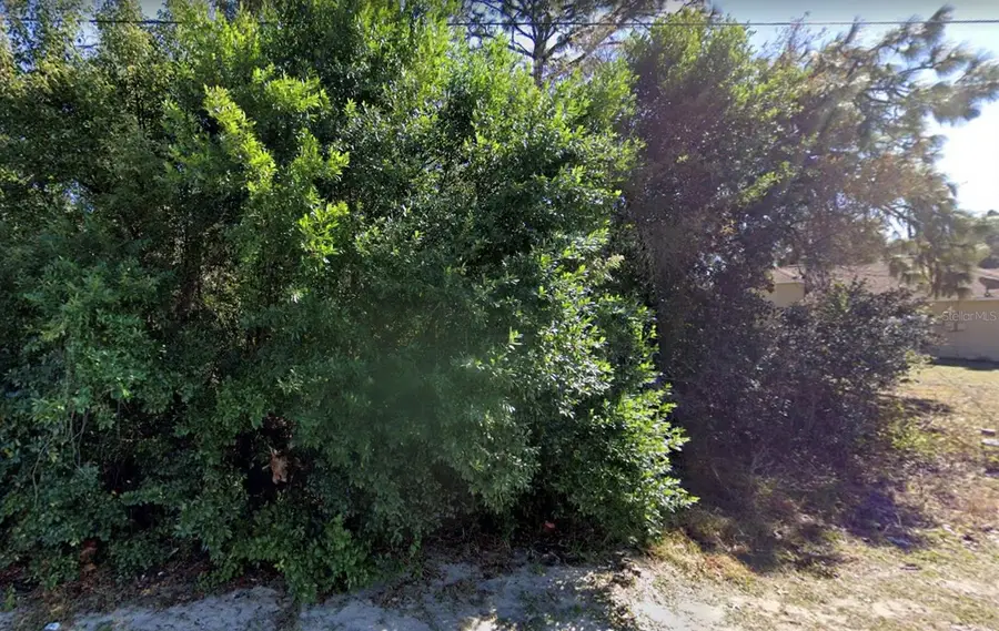 4436 Azora Road, Spring Hill, FL 34608 - #3