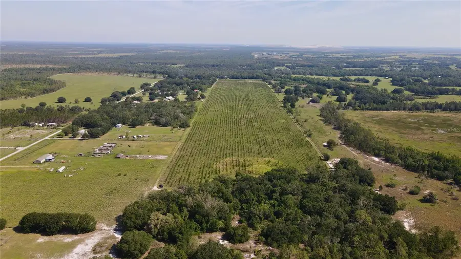 Address Withheld By Seller, Lithia, FL 33547 - Image #2