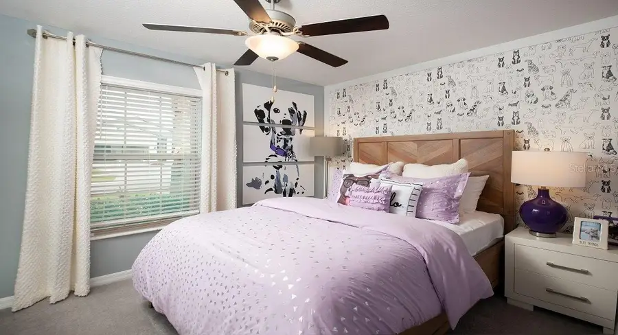 22075 Blazing Star Run, Land O Lakes, FL 34637 - Image #3