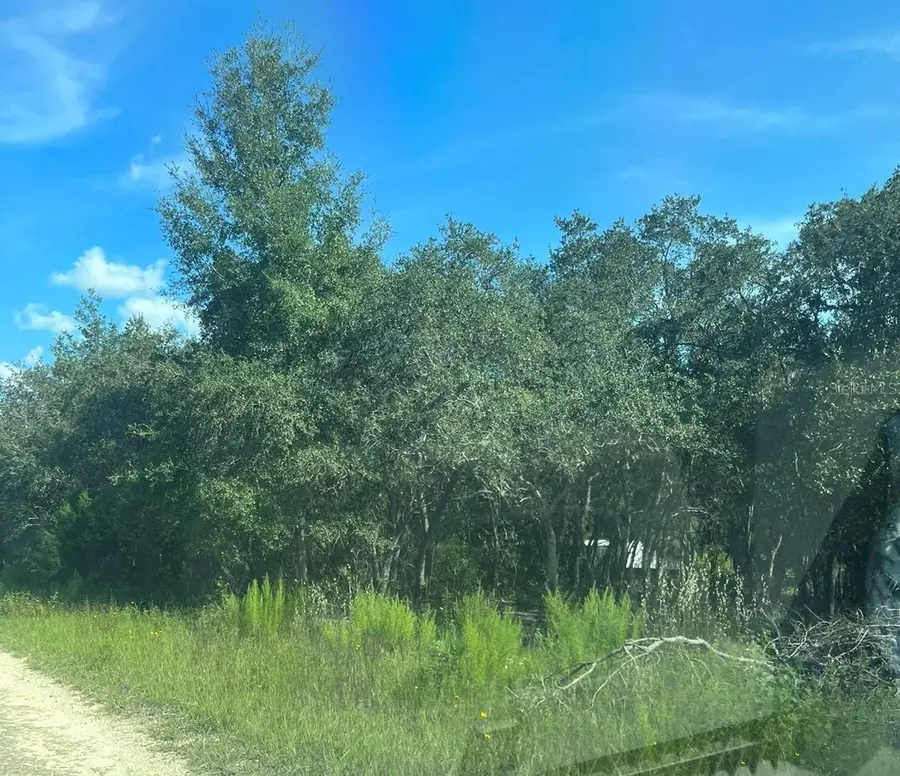 23-12-17 Oak Ridge Estates Blk 8 Lot 27, Williston, FL 32696 - Image #2