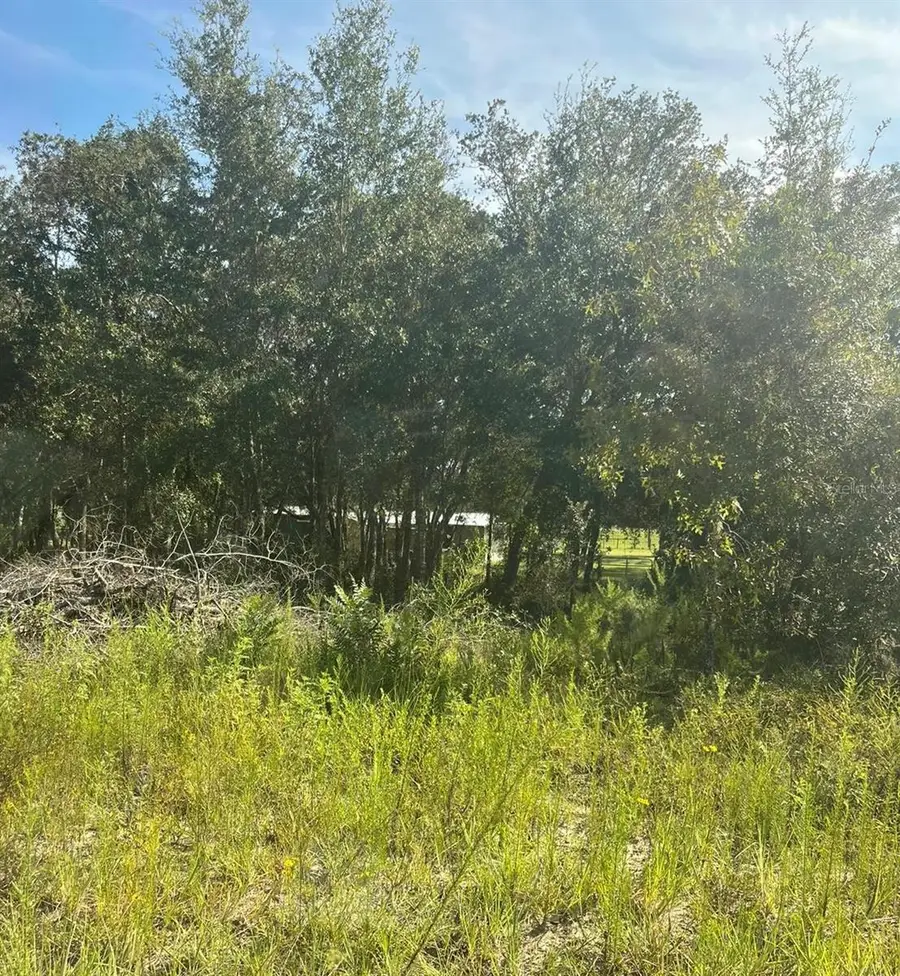 23-12-17 Oak Ridge Estates Blk 8 Lot 27, Williston, FL 32696 - Image #3