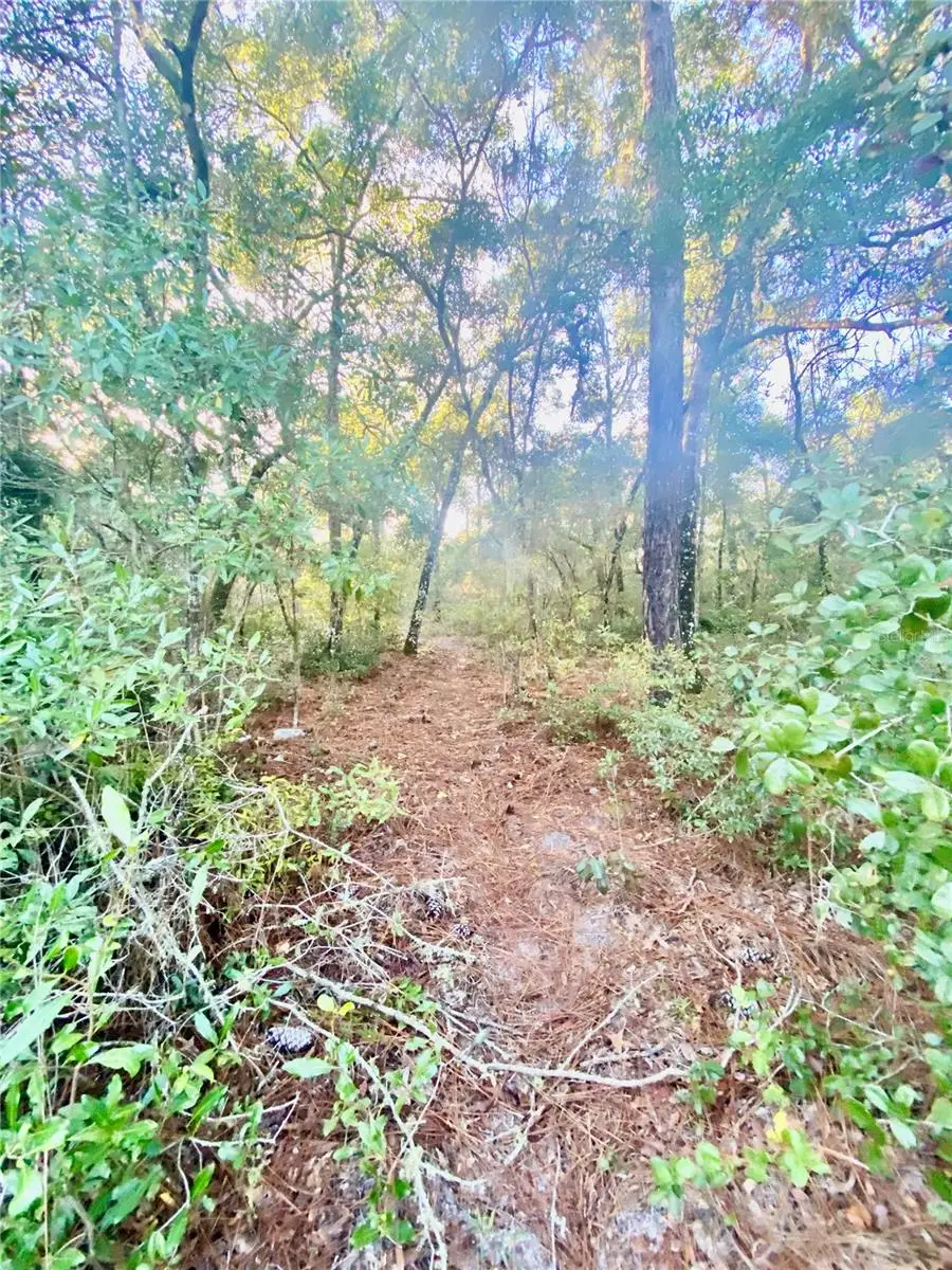 3986 S Pelican Avenue, Inverness, FL 34450 - Image #1