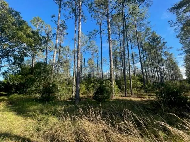 SE Corner Of Holly Lane & S.r. 597 Lane, Lutz, FL 33548 - Image #3