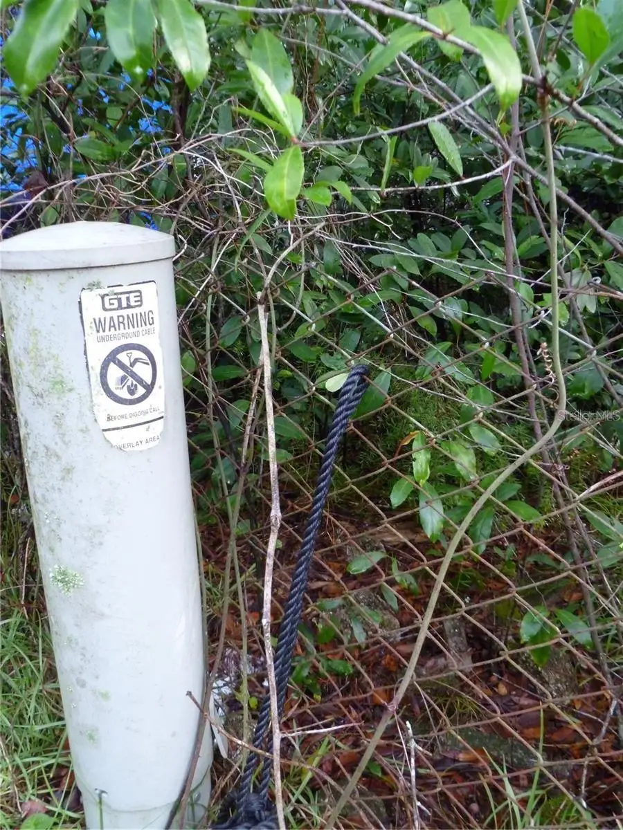 10024 Oana Street, New Port Richey, FL 34654 - #3