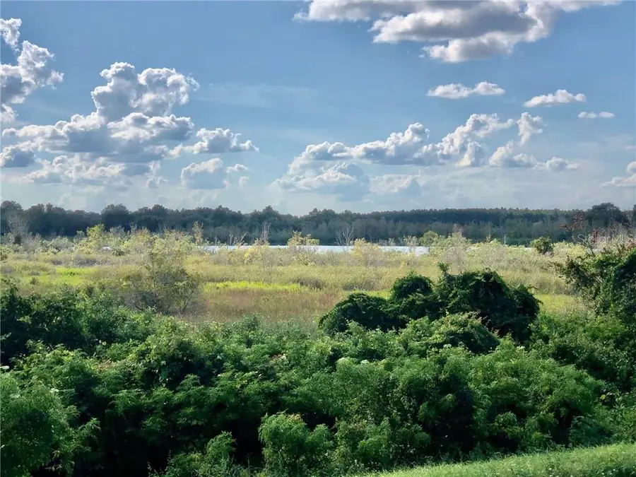 W Lake Yale Road, Umatilla, FL 32784 - Image #3