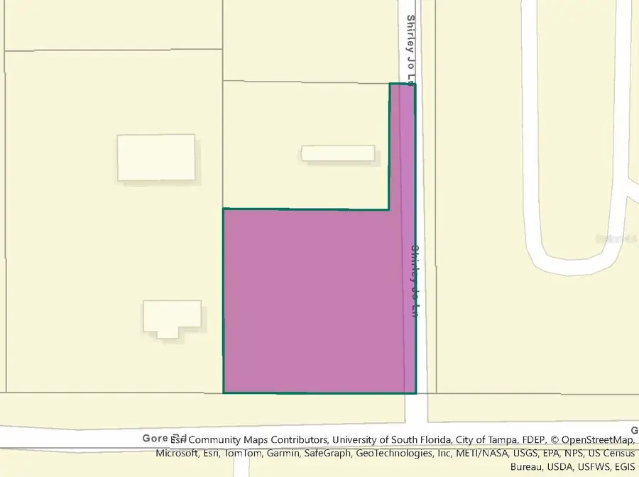 12946 Gore Road, Dover, FL 33527 - Image #2