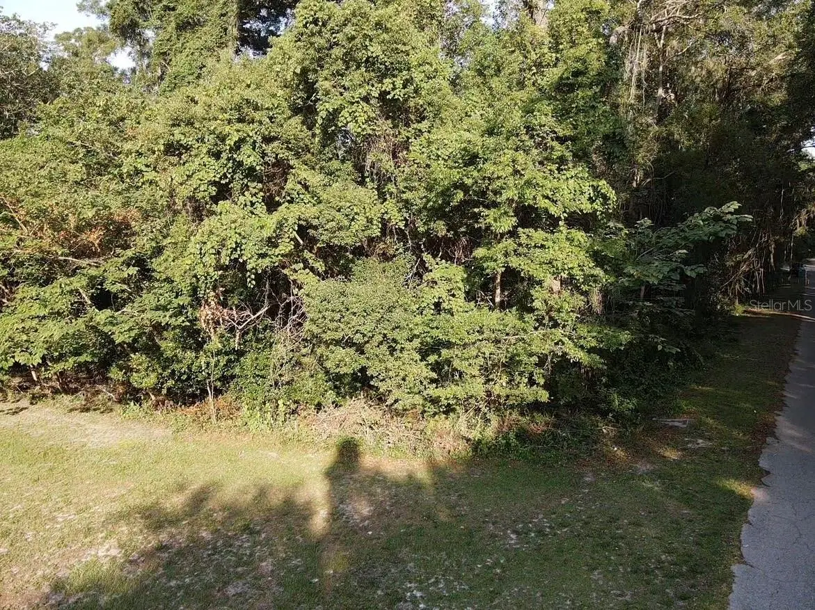 NW 189th, High Springs, FL 32643 - Image #1